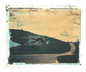 " Gasworks Park " Polaroid Transfer